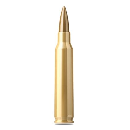 S&B 223 Remington HPBT 4,5g Amunicja karabinowa /myśliwska